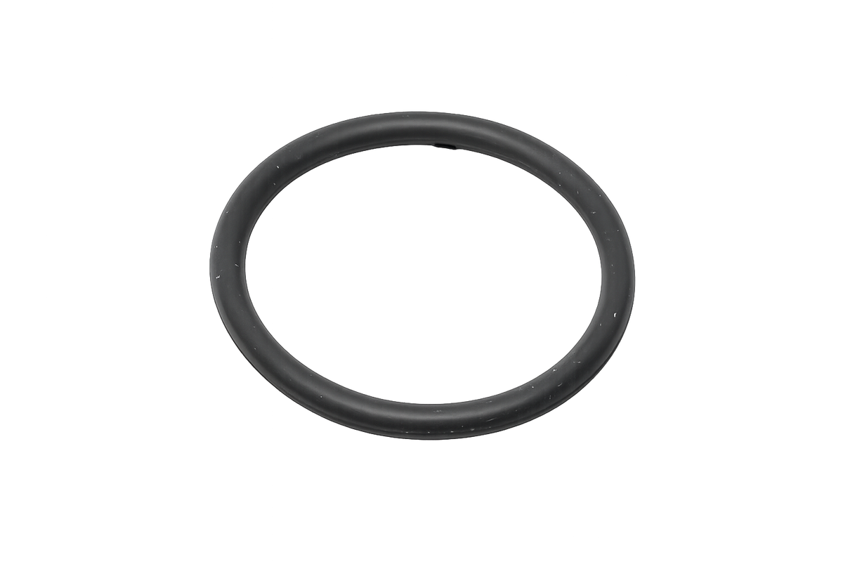 Dome Hole Plug Oring | 10221